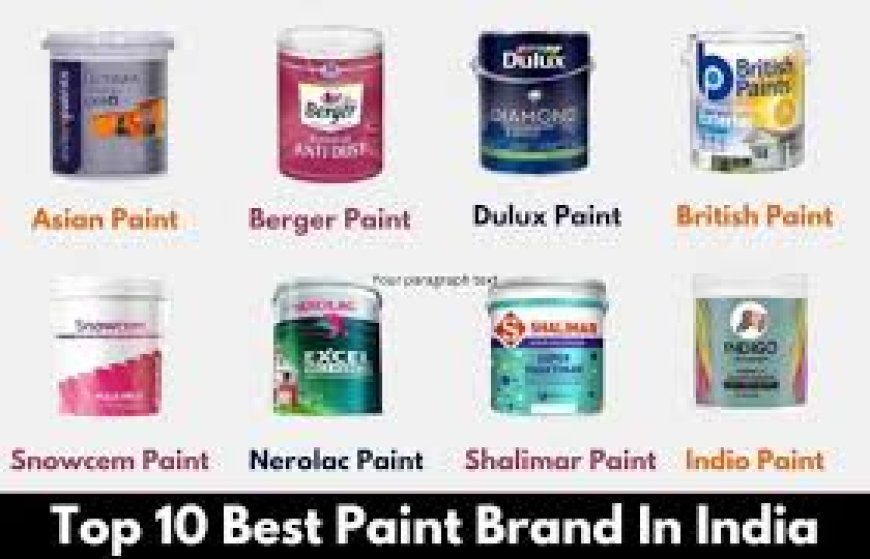 Top 10 Paint Company in India 2024